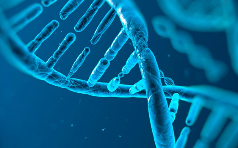Bioinformática Estructural